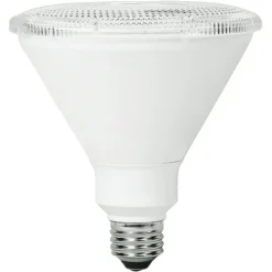 Natural Light - 1000 Lumens - 14 Watt - 3000 Kelvin - LED PAR38 Lamp