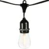 48 Ft. Patio String Lights - (16) Incandescent S14 Bulbs Included