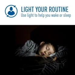 Natural Light - 800 Lumens - LED Smart Bulb - A19 Filament - 7 Watt - Tunable White - 2200K-6500 Kelvin -Bulbs Shop data 1625