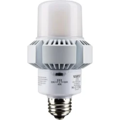 20 Watt - 2700 Lumens - Color Selectable LED HID Retrofit Bulb