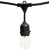 48 Ft. Patio String Lights - Black Wire - (15) Suspended Sockets