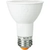 Natural Light - 560 Lumens - 6.5 Watt - 2700 Kelvin - LED PAR20 Lamp