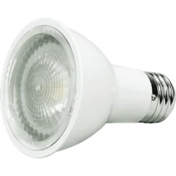Natural Light - 560 Lumens - 6.5 Watt - 2700 Kelvin - LED PAR20 Lamp -Bulbs Shop data 631