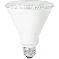 Natural Light - 650 Lumens - 10 Watt - 3000 Kelvin - LED PAR30 Long Neck Lamp