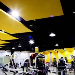 Front Page -Bulbs Shop data 819